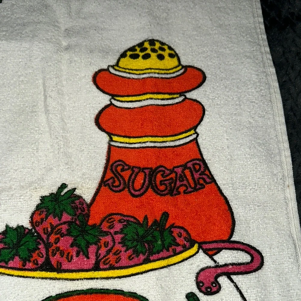 Colorful Fruit Pattern Towels set of 2 retro vintage dish towels
